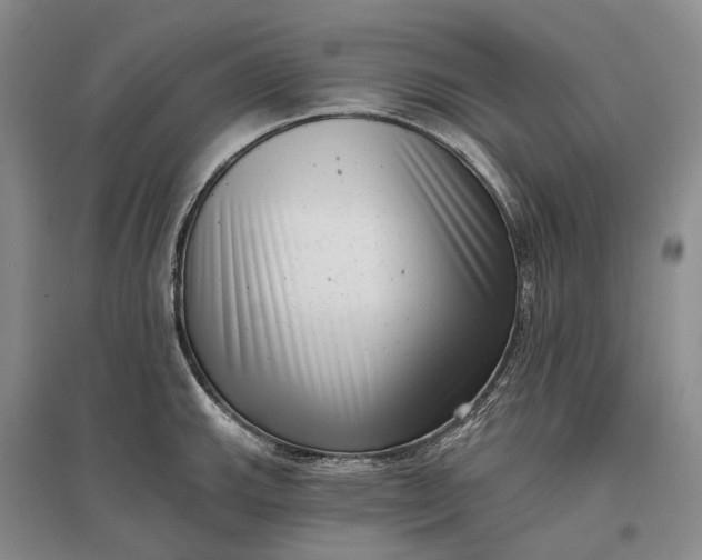X0000097291143200802291744