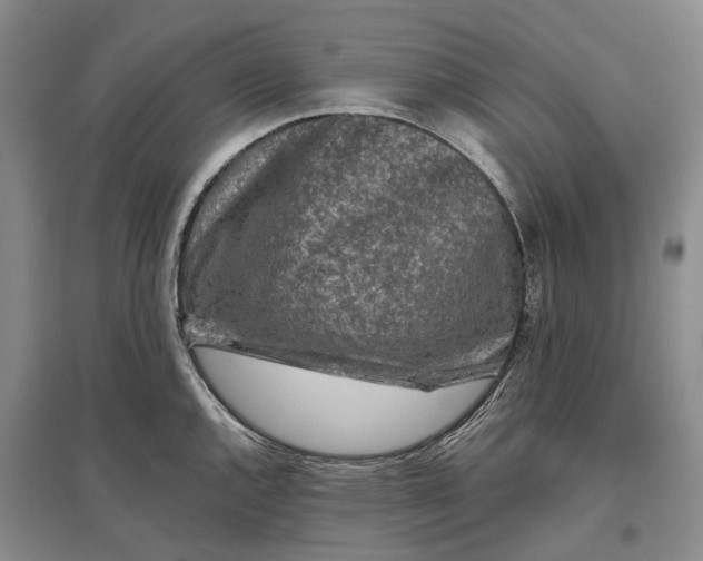 X0000097291144200802291744
