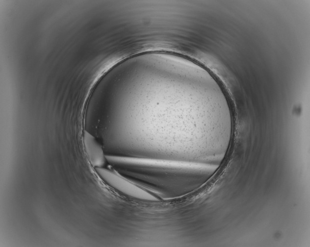 X0000097291145200802291744