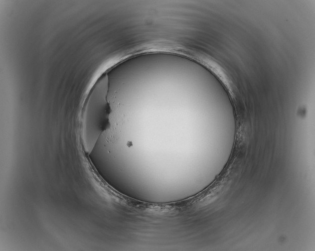 X0000097291146200802291744