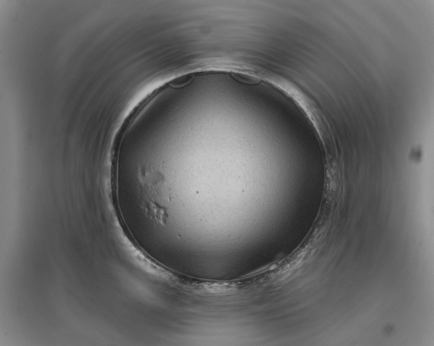 X0000097291147200802291744