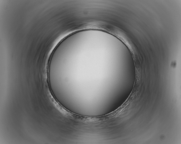 X0000097291148200802291744