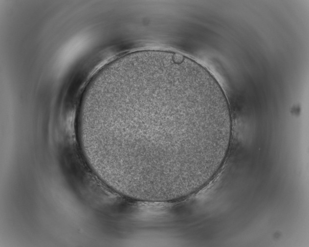 X0000097291150200802291744