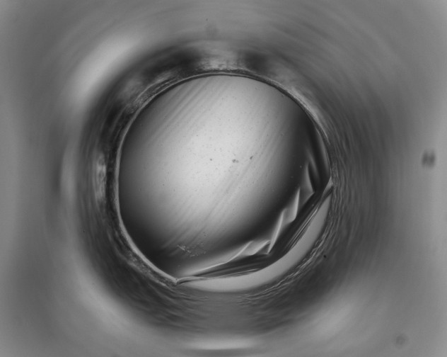 X0000097291151200802291744