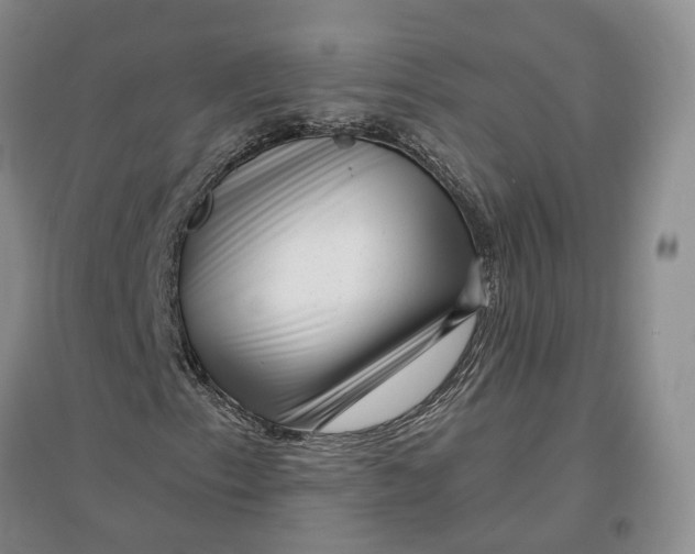 X0000097291153200802291744