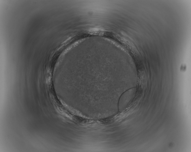 X0000097291154200802291744