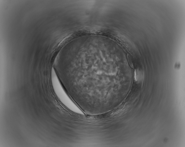 X0000097291155200802291744