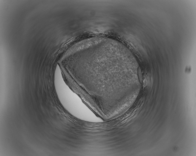 X0000097291156200802291744