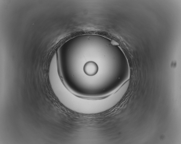 X0000097291157200802291744