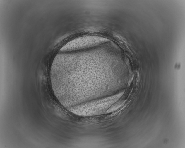 X0000097291158200802291744