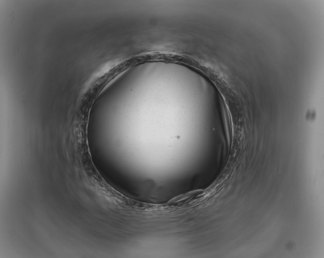 X0000097291159200802291744