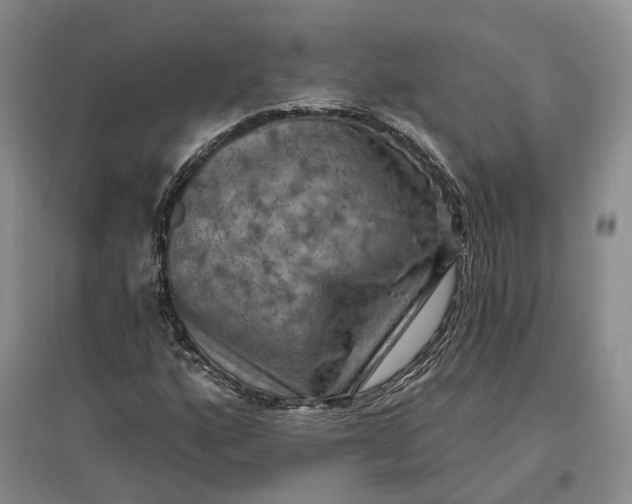 X0000097291160200802291744