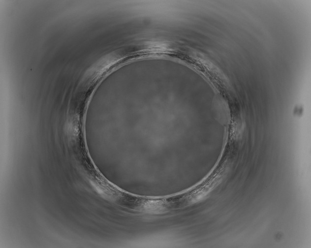X0000097291161200802291744