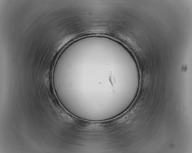 X0000097291162200802291744