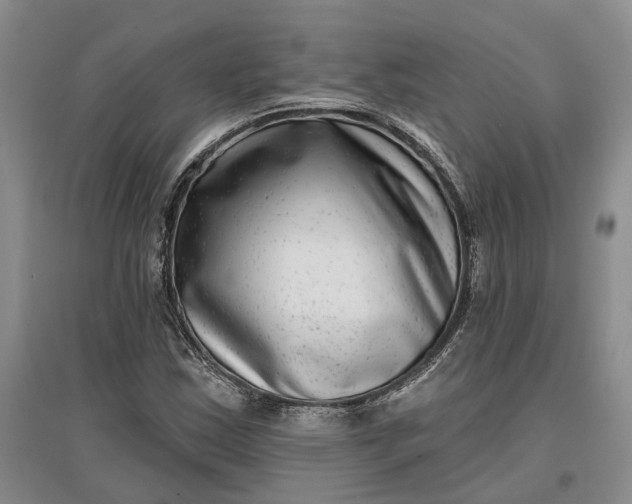 X0000097291163200802291744