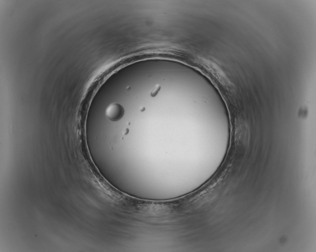 X0000097291164200802291744