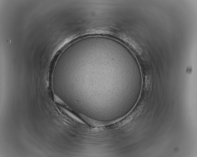 X0000097291165200802291744