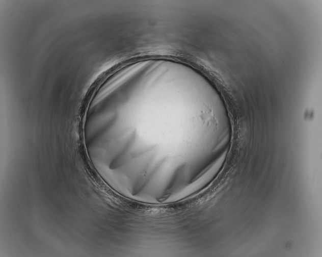 X0000097291166200802291744