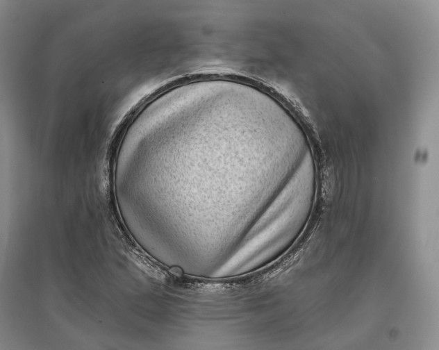X0000097291167200802291744