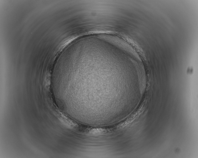 X0000097291169200802291744