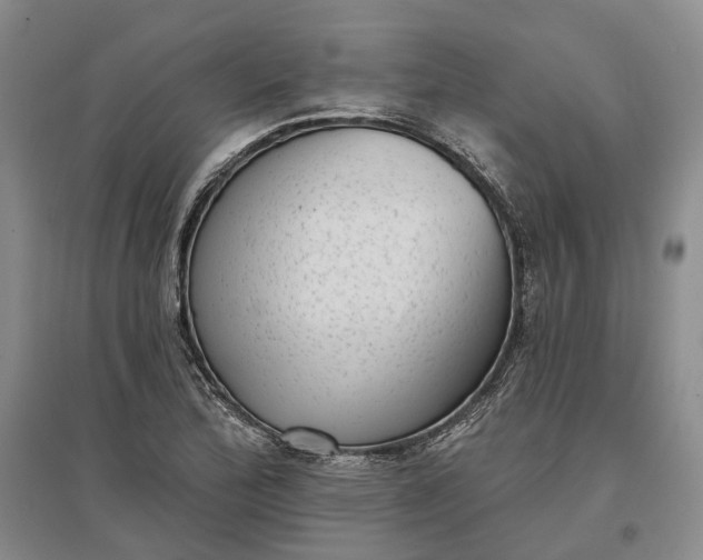 X0000097291172200802291744