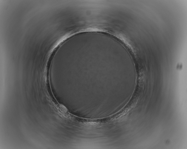 X0000097291173200802291744
