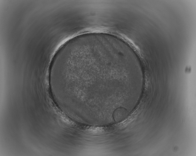 X0000097291174200802291744