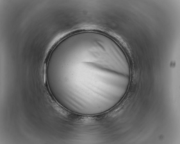 X0000097291175200802291743