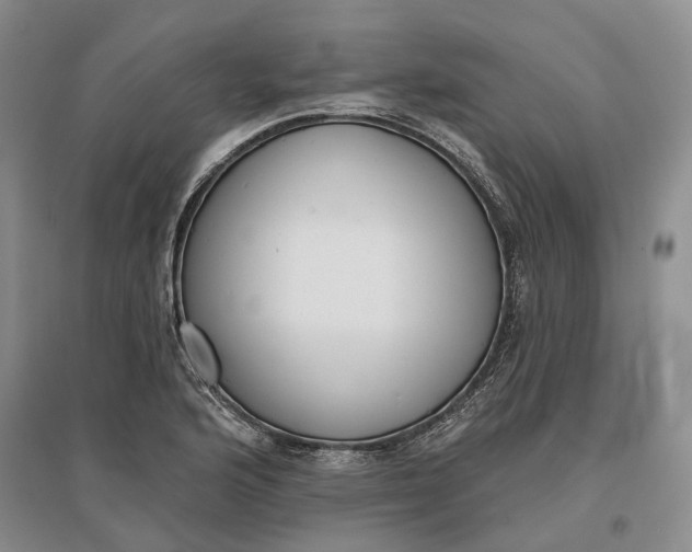 X0000097291176200802291743