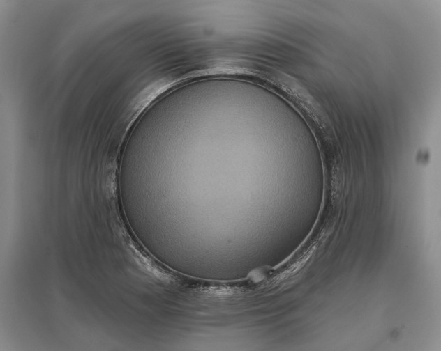 X0000097291177200802291743