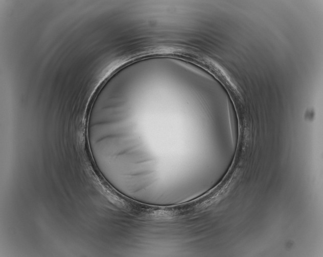 X0000097291178200802291743