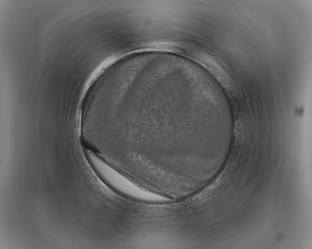 X0000097291180200802291743