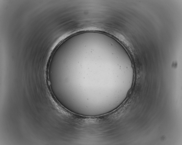 X0000097291181200802291743