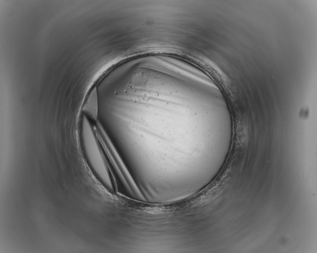 X0000097291182200802291743