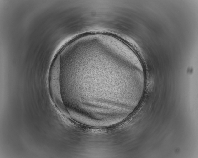 X0000097291183200802291743