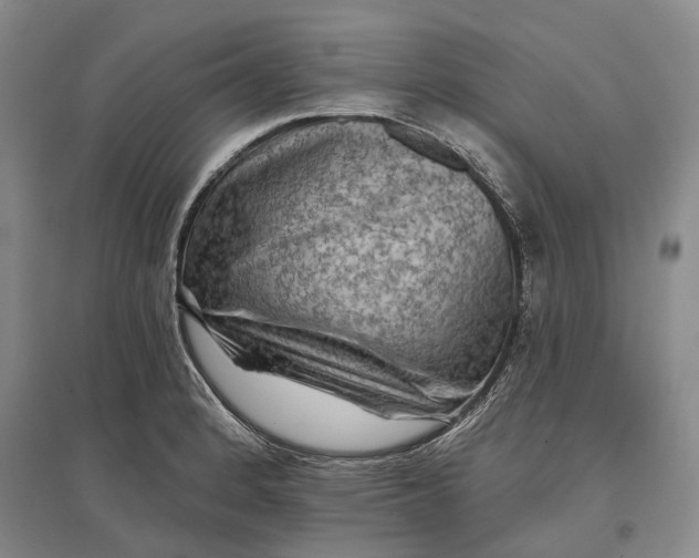 X0000097291184200802291743