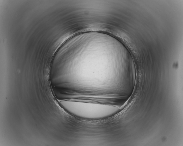 X0000097291185200802291743