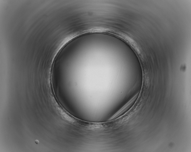 X0000097291186200802291743