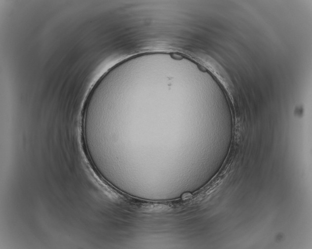 X0000097291187200802291743
