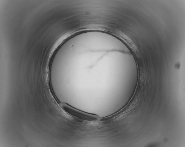X0000097291188200802291743