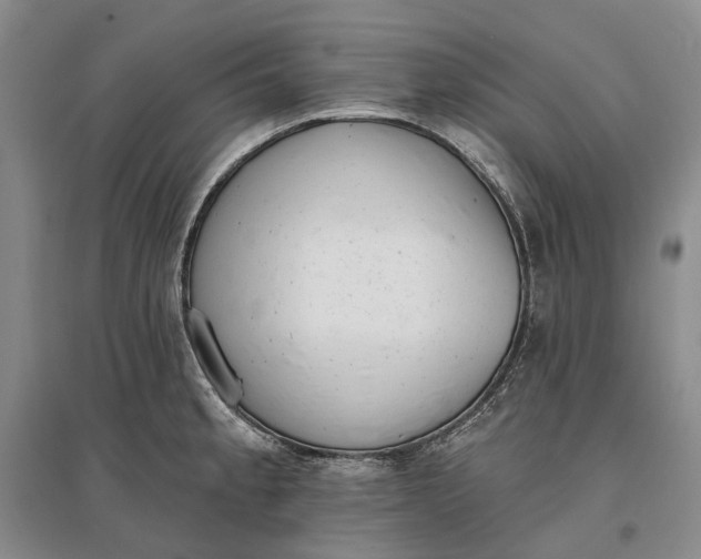 X0000097291189200802291743