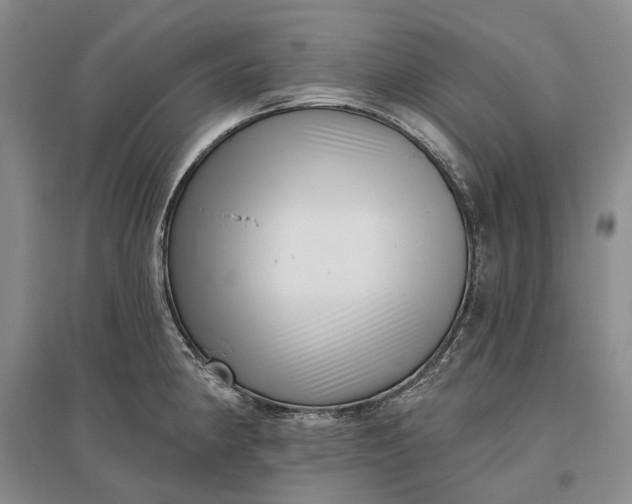 X0000097291190200802291743