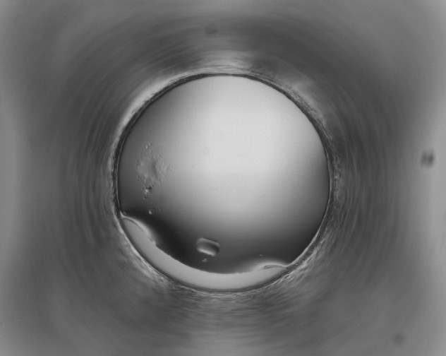 X0000097291192200802291743