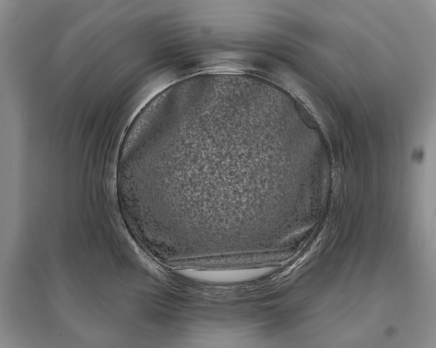 X0000097291194200802291743