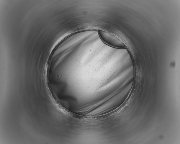 X0000097291198200802291743