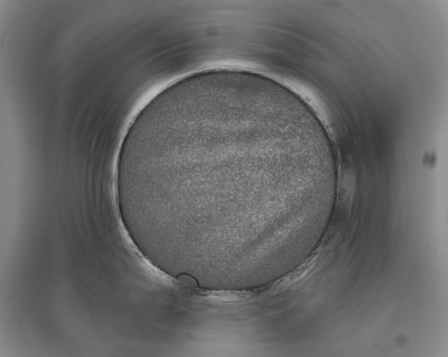 X0000097291199200802291743