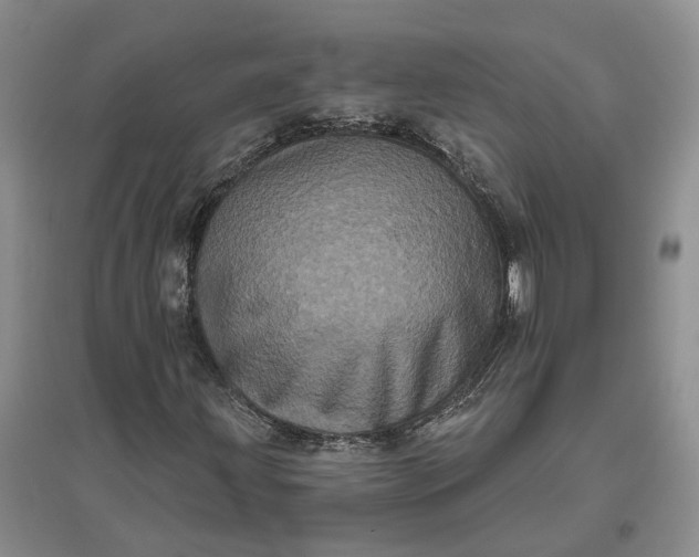 X0000097291203200802291742