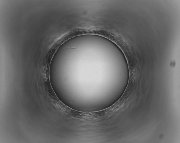 X0000097291205200802291742