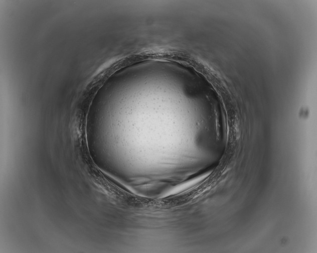 X0000097291206200802291742