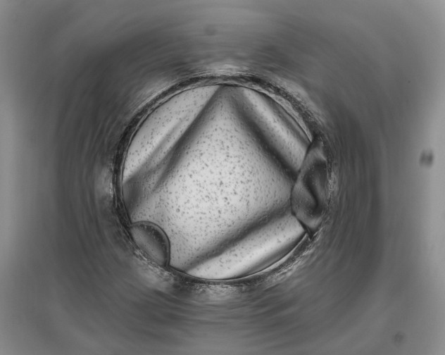 X0000097291209200802291742